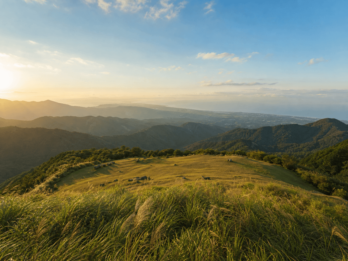 森渼原360度遼闊視野